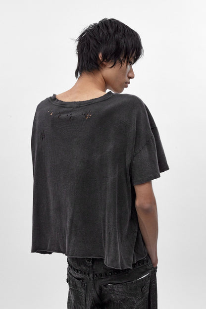 Rock Revival by Jaded London Distressed National Cropped T-Shirt