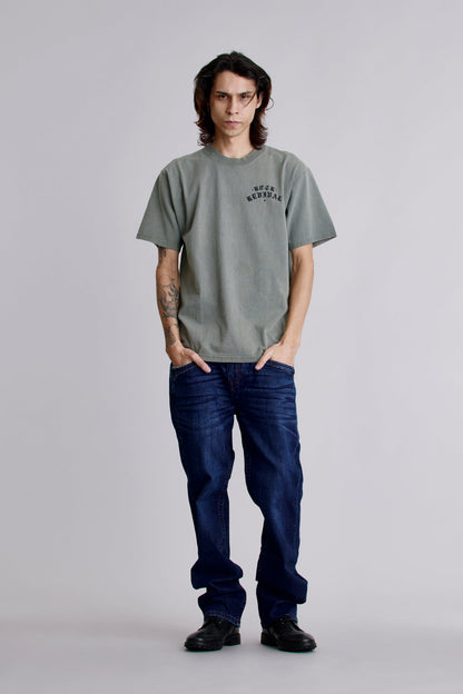 1981 Hollywood Tee in Sage